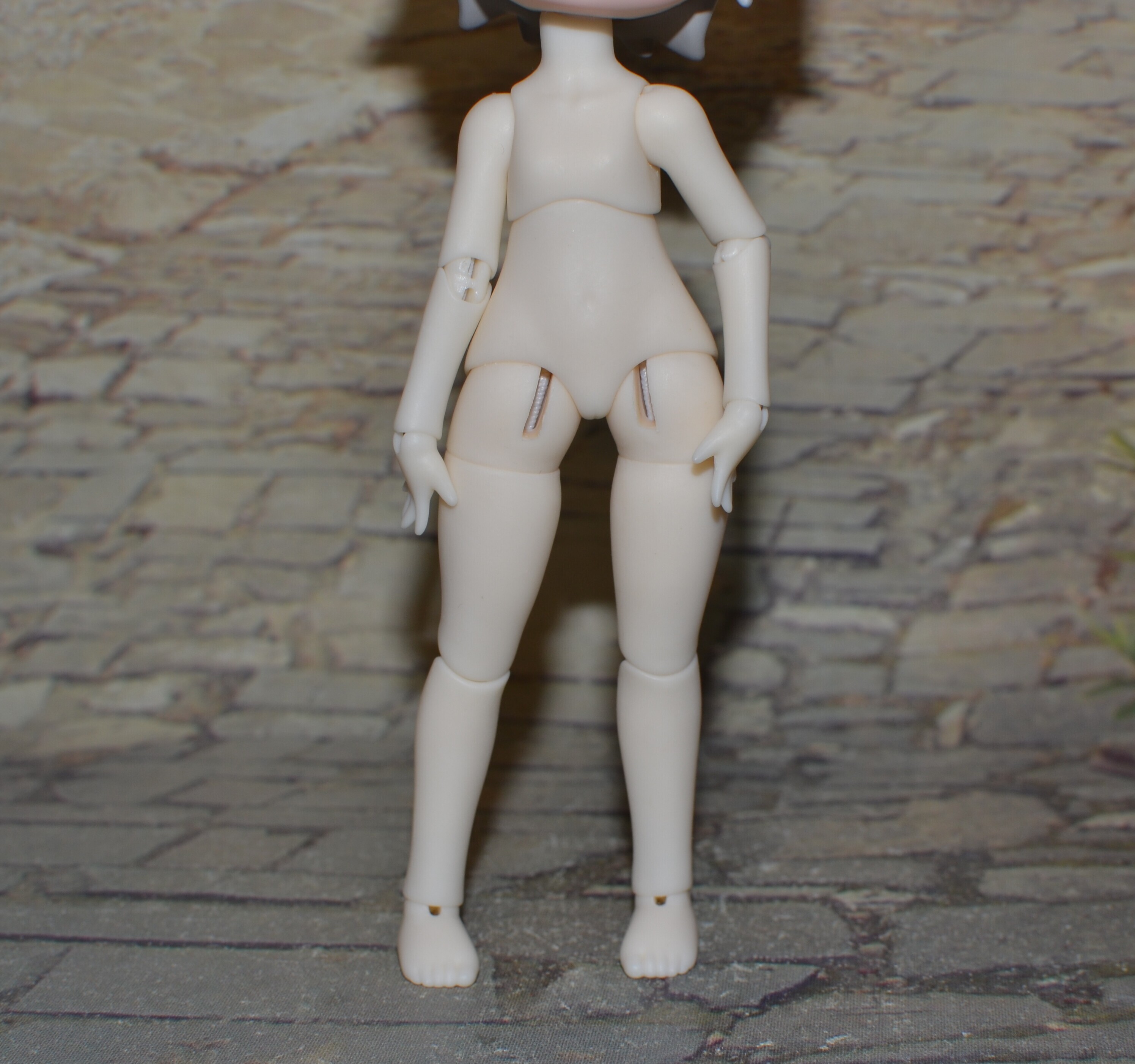 DSC 0736