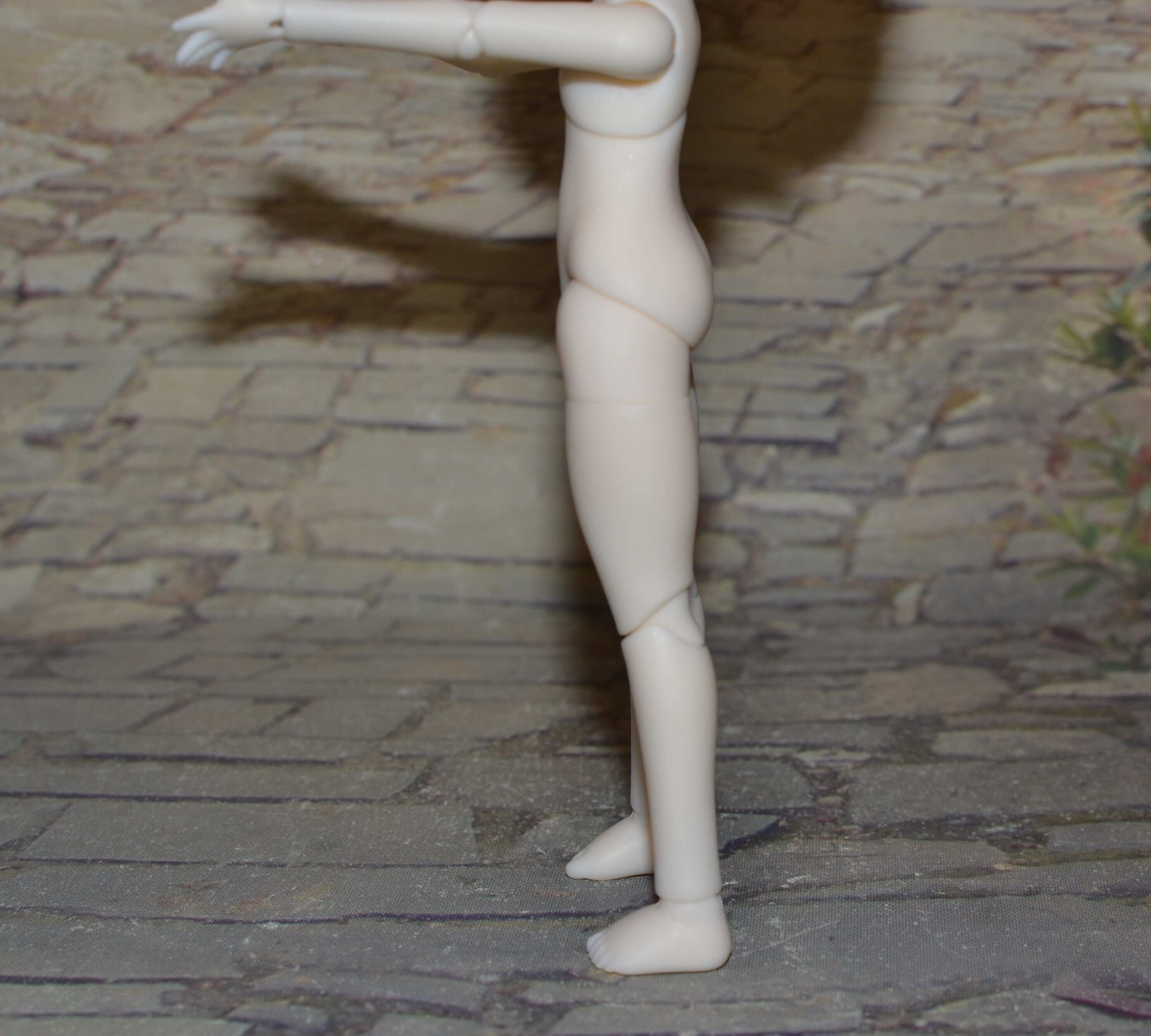 DSC 0743