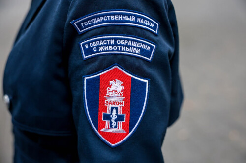 https://radika1.link/2026/09/08/20251112143215798545b0e7654b2309e1c3.md.jpg